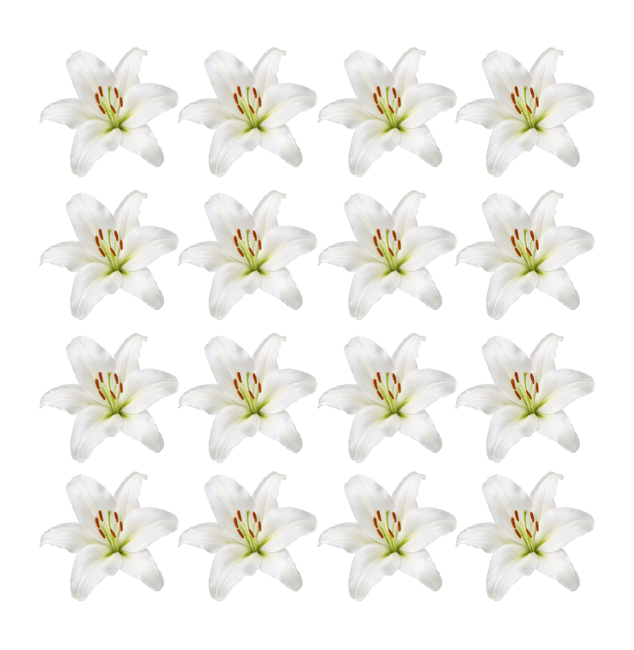 Pretty white Lily Flowers edible wafer or icing cake cupcake wedding decorations