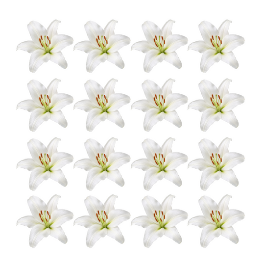 Pretty white Lily Flowers edible wafer or icing cake cupcake wedding decorations