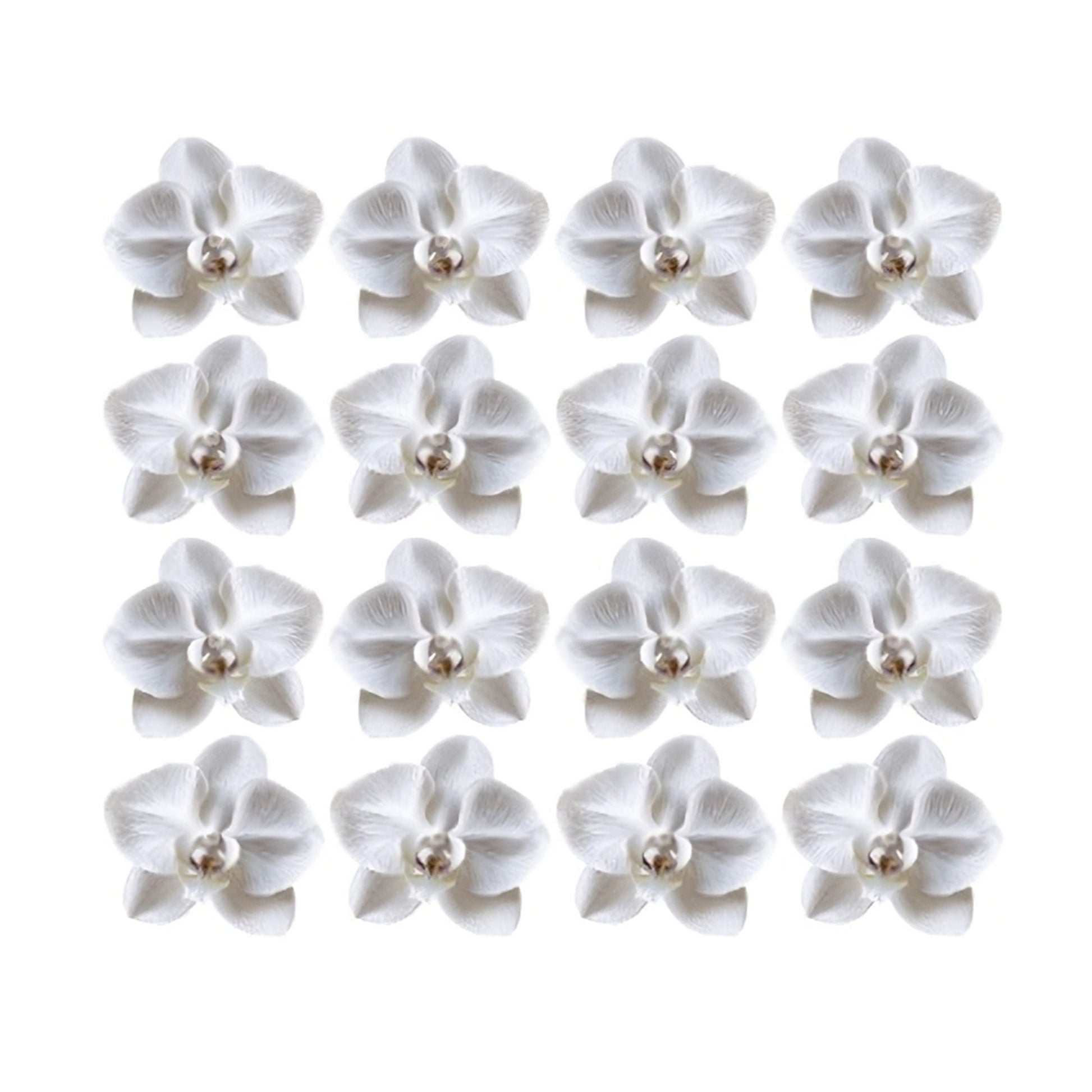 Pretty white Orchid Flowers edible wafer or icing cake cupcake wedding