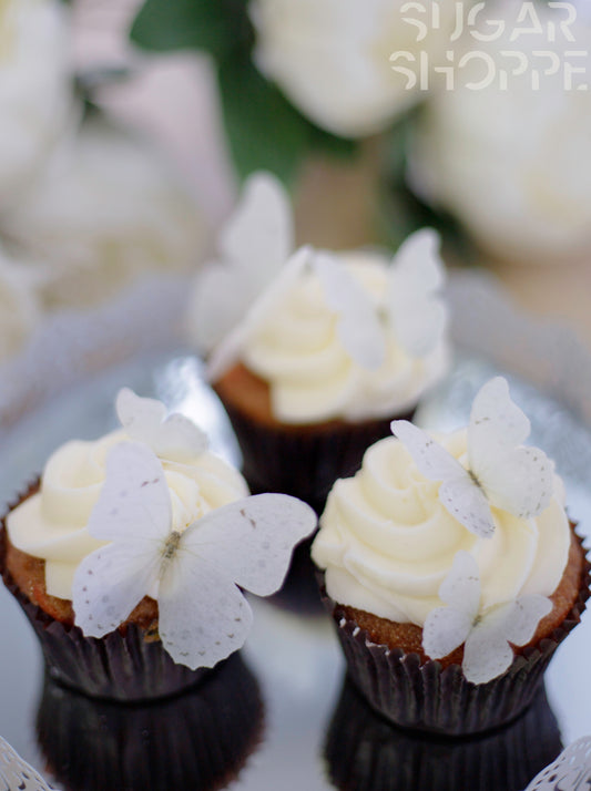 White Wafer Butterflies