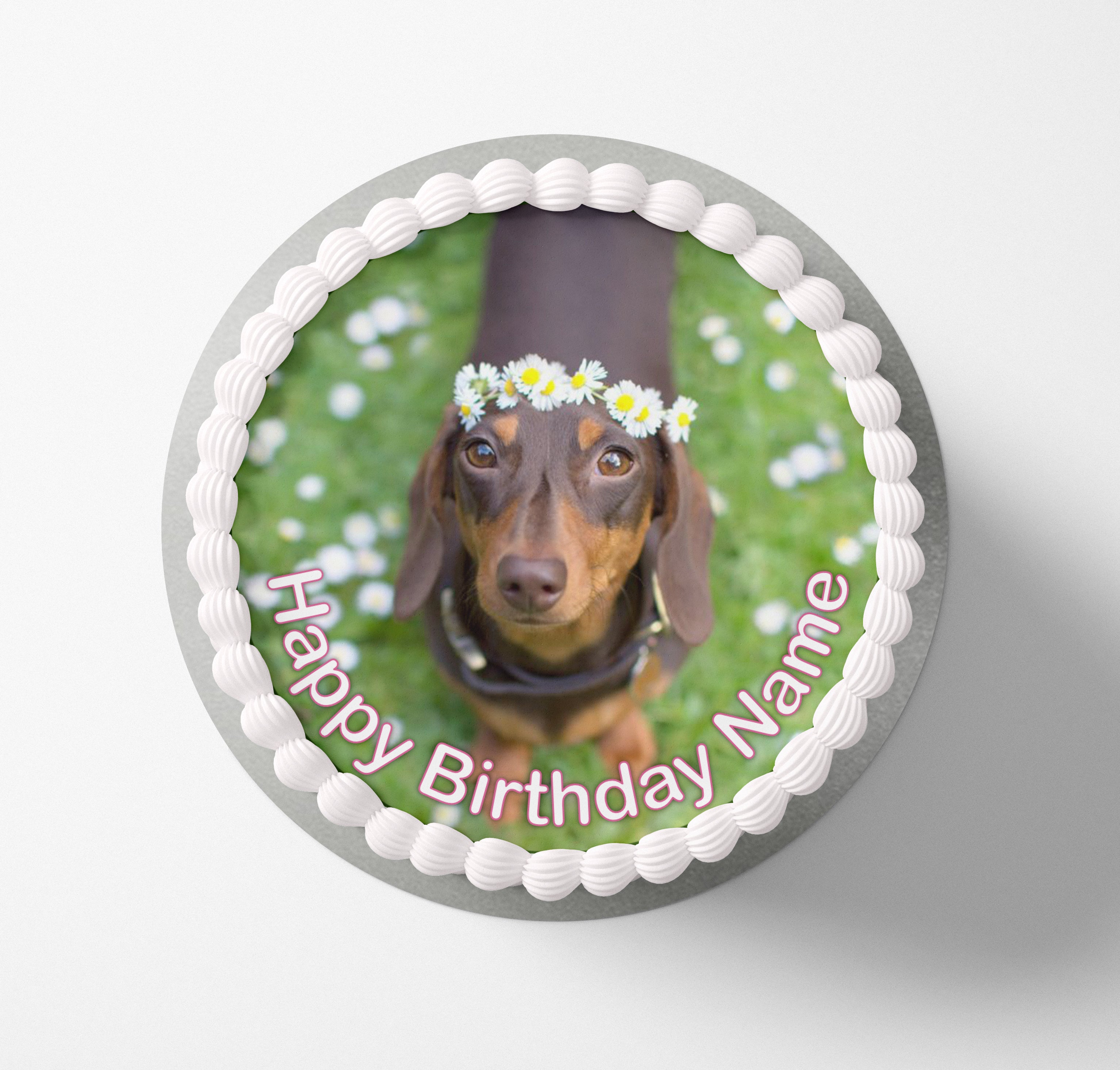 Dachshund hotsell cake topper