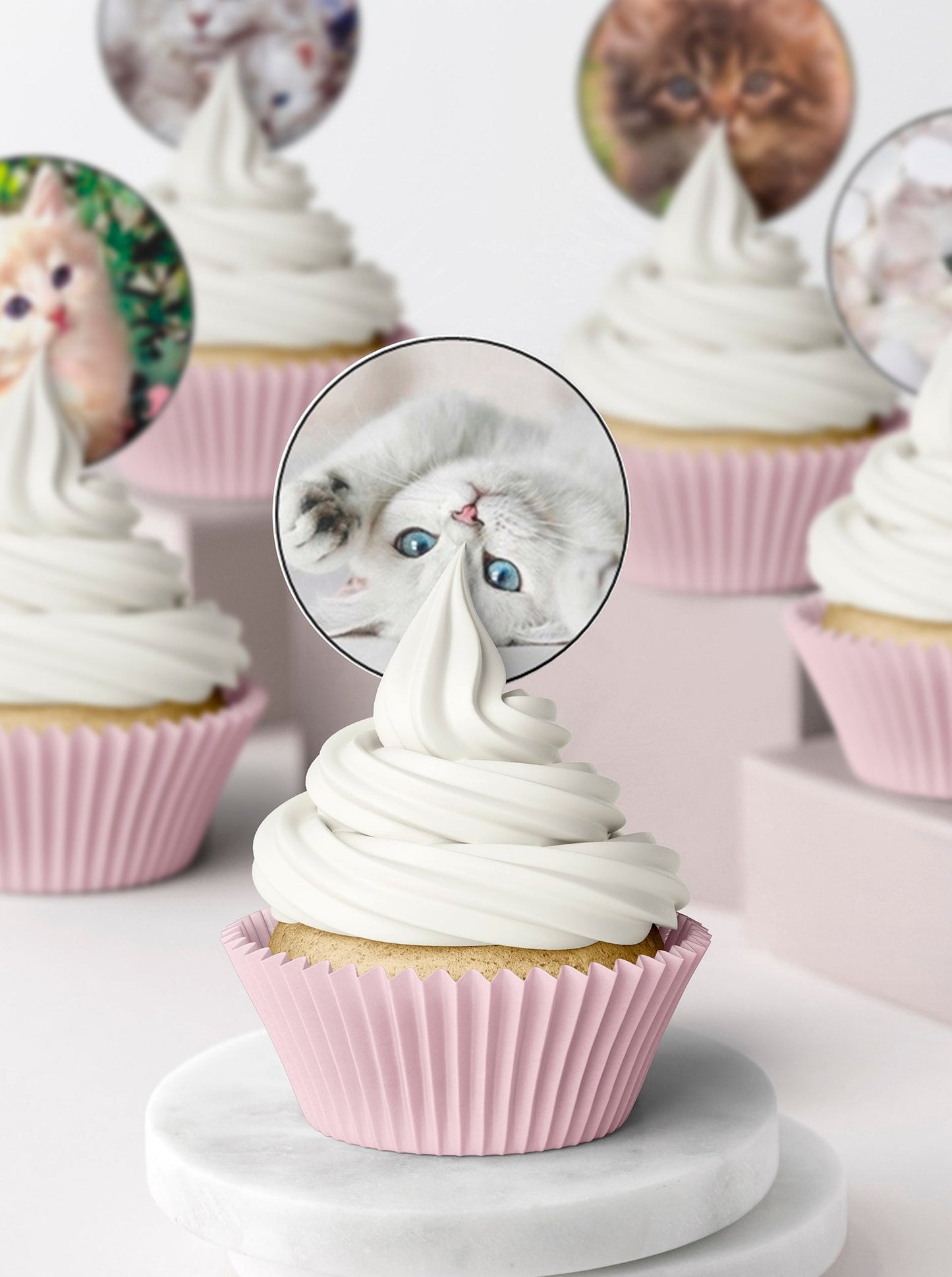 Kittens Cupcake & Cookie Toppers