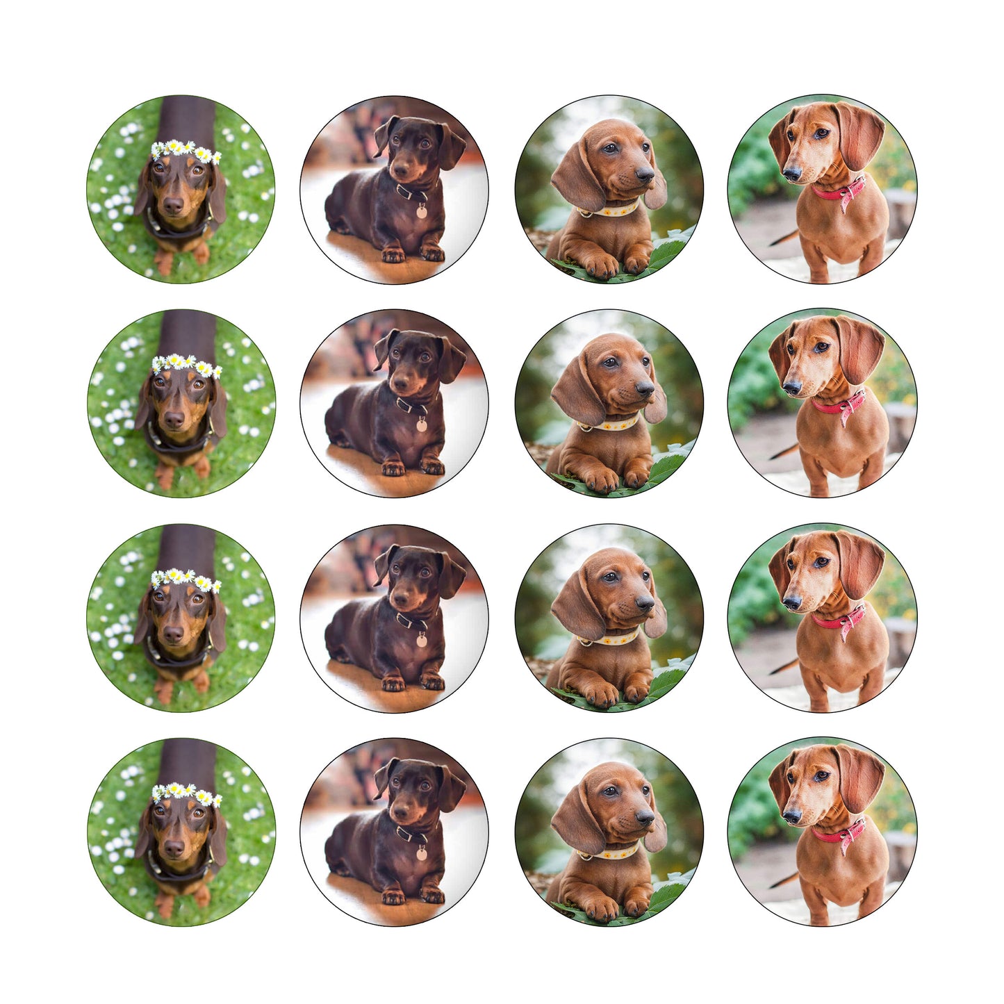 Dachshund Sausage Dog Cupcake & Cookie Toppers