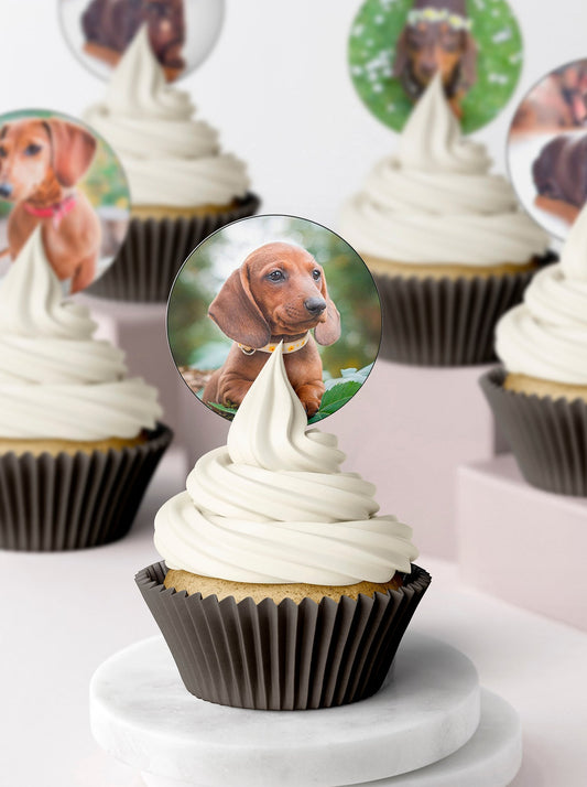 Dachshund Sausage Dog Cupcake & Cookie Toppers